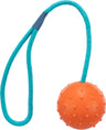 Ein orangefarbener Ball mit Noppen, verbunden mit einer blauen geflochtenen Kordel; eignet sich als Spielzeug für Hunde.