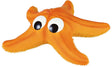 Orangefarbener Stern mit großen, schwarzen Augen, erinnert an Seestern, mit unregelmäßigen Kanten.