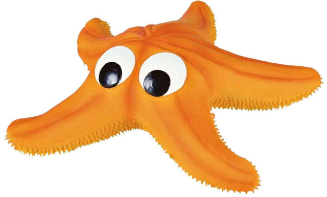 Orangefarbener Stern mit großen, schwarzen Augen, erinnert an Seestern, mit unregelmäßigen Kanten.