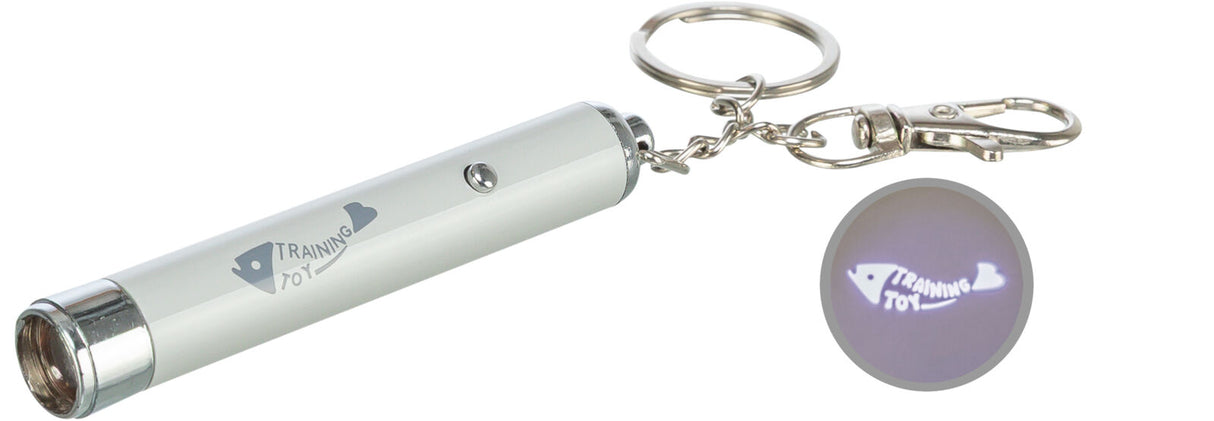 Silberner, zylinderförmiger Schlüsselanhänger mit Knopf und Karabiner, projiziert "Training Toy" mit Fischsymbol.