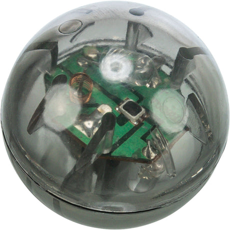 Transparente Kunststoffkugel mit sichtbarer Elektronik im Inneren, einschließlich Platine und Kupferspule.
