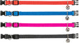 Vier bunte Halsbänder in Rot, Blau, Pink und Schwarz mit kleinen Glocken und schwarzen Schnallen.