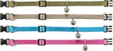Vier bunte Halsbänder in Grün, Beige, Blau und Pink mit je einer kleinen silbernen Glocke und schwarzen Verschlüssen.