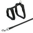 Schwarzes Geschirr mit verstellbaren Gurten, D-Ring und einem passenden Karabiner am Ende einer Leine.