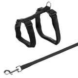 Schwarzes Geschirr mit verstellbaren Gurten, D-Ring und einem passenden Karabiner am Ende einer Leine.