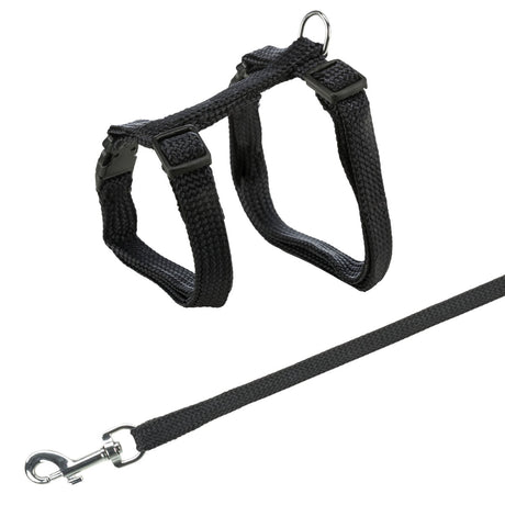 Schwarzes Geschirr mit verstellbaren Gurten, D-Ring und einem passenden Karabiner am Ende einer Leine.