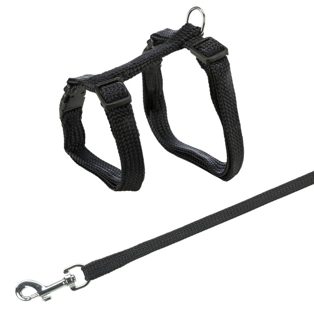 Schwarzes Geschirr mit verstellbaren Gurten, D-Ring und einem passenden Karabiner am Ende einer Leine.