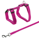 Rosa Hundegeschirr mit verstellbaren Riemen und Metallverschluss, inklusive passender Leine mit Clip.