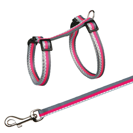 Brustgeschirr mit Leine in Grau und Pink, mit Schnallen und Metallring zur Befestigung einer Leine.