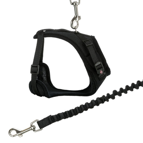 Schwarzes Hundegeschirr mit verstellbaren Riemen und elastischer Leine, Metallkarabiner oben und unten.