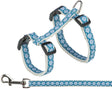 Blau-weiße Hundeleine mit geometrischem Muster und Metallschnalle sowie passendem Geschirr mit schwarzen Clips.