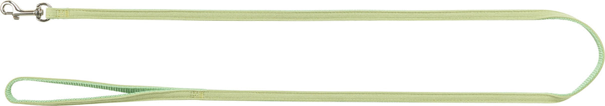 Grüne Hundeleine mit Handschlaufe und silbernem Karabinerhaken, einfach gehaltenes Design.