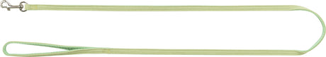 Grüne Hundeleine mit Handschlaufe und silbernem Karabinerhaken, einfach gehaltenes Design.