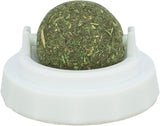 Ein runder, dicht gepackter Ball aus grünem Material liegt in einer weißen, kreisförmigen Halterung.