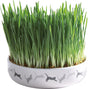 Ein runder, weißer Blumentopf mit Katzensilhouetten gefüllt mit dichtem, grünem Gras.