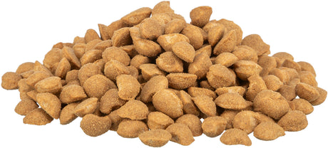 Ein Haufen brauner, runder Kroketten in einer unregelmäßigen Form auf einem weißen Hintergrund.
