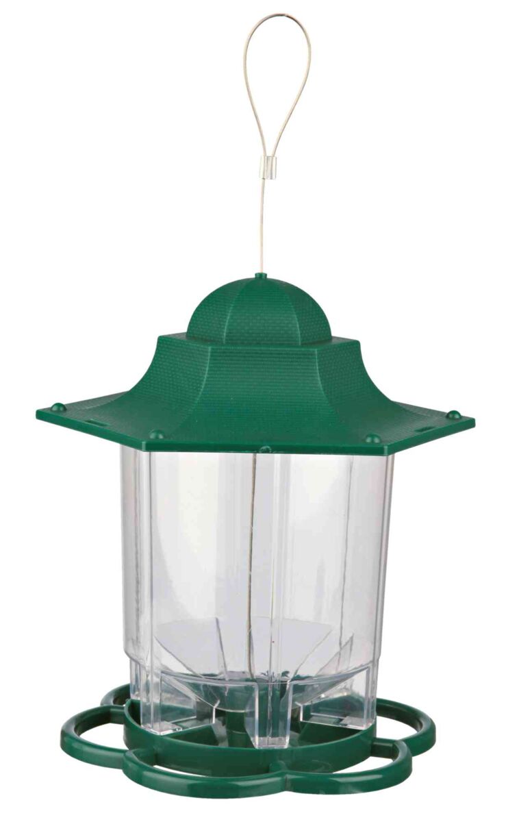 Transparenter Futterspender mit grüner Kuppel und Bodensockel, oben mit Drahtschlaufe zum Aufhängen.