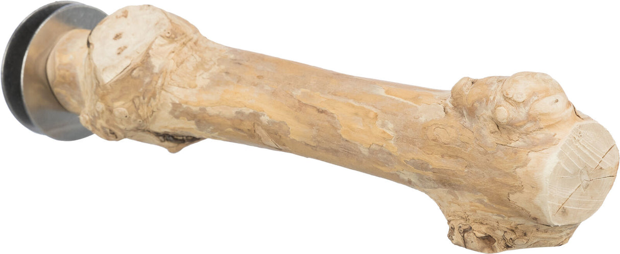 Holzähnliches, längliches Objekt mit ungleichmäßiger Oberfläche, an einem Ende befestigt auf einer Metallplatte.