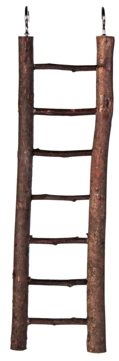 Holzleiter mit fünf Sprossen, seitlich mit zwei Haken zur Befestigung, natürliche Holzoptik.