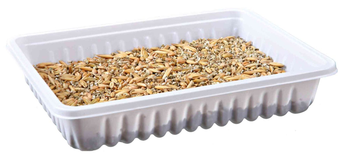 Weiße Plastikschale mit einer Mischung aus Hafer und körnigem Futter obenauf.