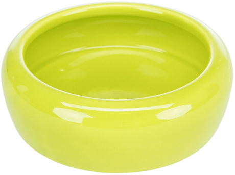 Grüne, runde Schale aus Keramik mit glänzender Oberfläche.