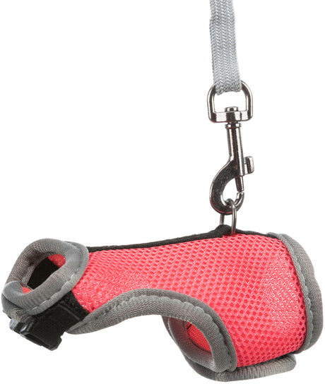 Rosa Hundegeschirr mit grauer Einfassung und grauem Riemen mit Metallhaken.