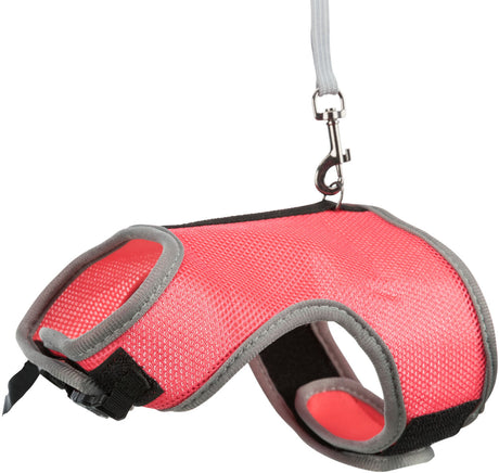 Rotes Hundegeschirr mit grauen Rändern und silbernem Haken, geeignet für Spaziergänge.