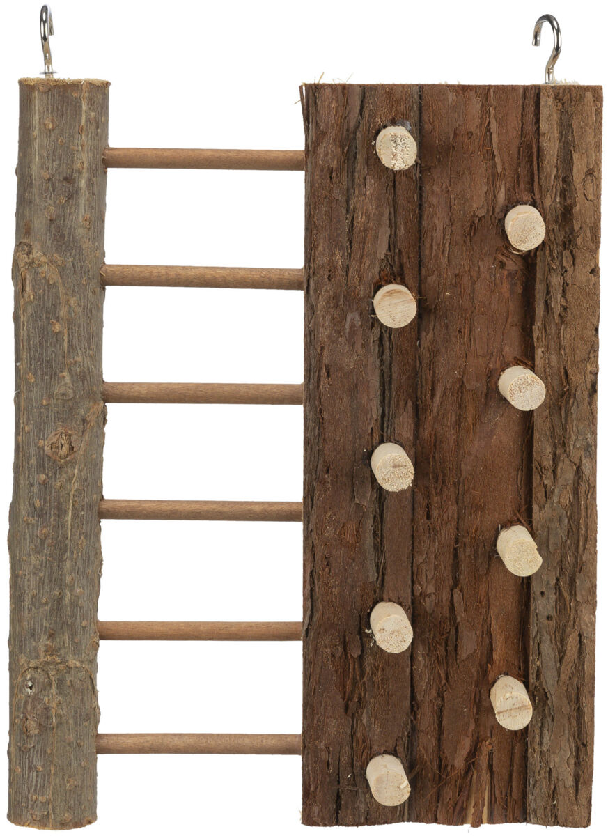 Holzstruktur mit Leiter aus runden Sprossen und mehreren runden Aufsätzen auf einer rauen, braunen Oberfläche.