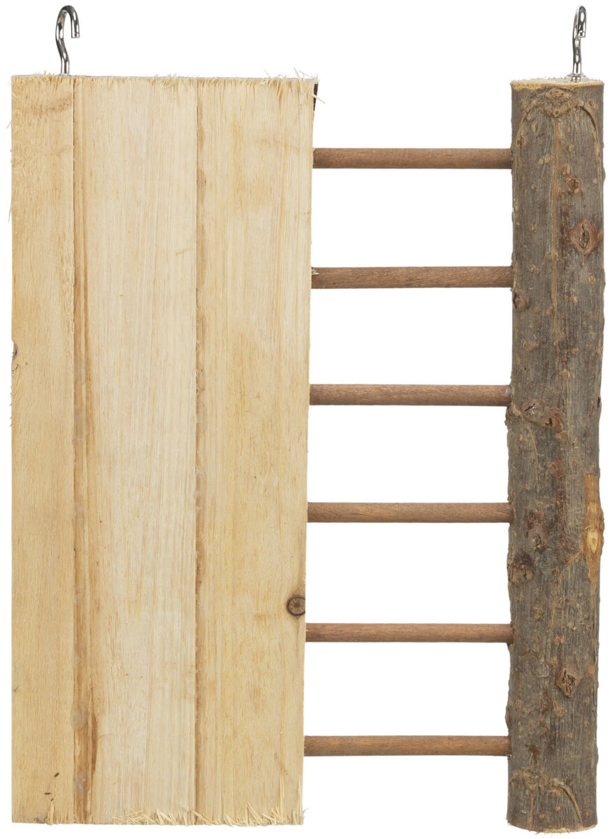 Holzleiter mit geschnitzten Seiten, braunen Sprossen und Metallhaken oben, natürliche Holzfarbe.