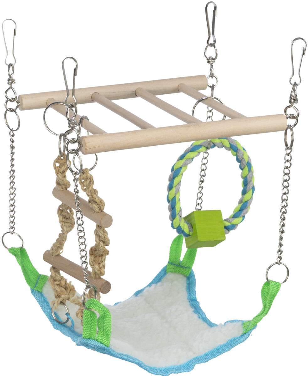 Hängespielzeug aus Holz und Seil mit Ketten befestigt, bunte Kletterschaukel und Leiter, grün und blau.