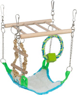 Hängespielzeug aus Holz und Seil mit Ketten befestigt, bunte Kletterschaukel und Leiter, grün und blau.