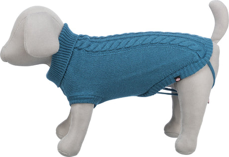 Grauer Hundemanippin, trägt einen blauen gestrickten Mantel mit Zopfmuster und Rollkragen.