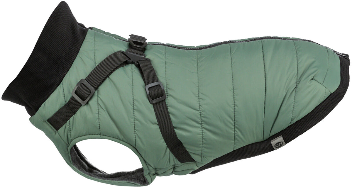 Grüner Hundemantel mit schwarzem Rand und verstellbarem Gurt aus Nylon, mit kleinem Label an der Seite.