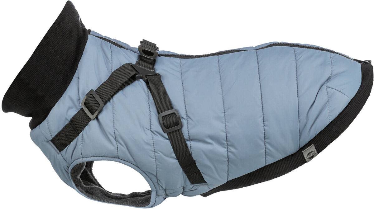 Blauer Hundemantel mit schwarzem Kragen und Gurten, seitliche Ansicht.