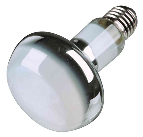 Eine silberne Glühbirne mit einem E27-Sockel liegt schräg, ihre Oberfläche reflektiert Licht.