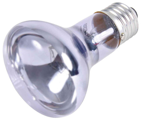 Klare Glühbirne mit silbernem Schraubsockel, reflektierende Oberfläche, spiralförmige Struktur im Inneren.