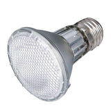 Eine silberne, durchsichtige LED-Glühbirne in runder Form mit sichtbarem Schraubgewinde aus Metall.
