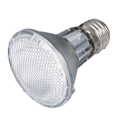 Eine silberne, durchsichtige LED-Glühbirne in runder Form mit sichtbarem Schraubgewinde aus Metall.