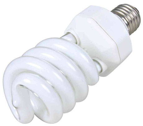 Energiesparlampe mit weißer, spiralförmiger Röhre und silbernem Schraubsockel.
