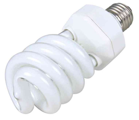 Eine weiße, spiralförmige Energiesparlampe mit silbernem Schraubgewinde, auf weißem Hintergrund abgebildet.