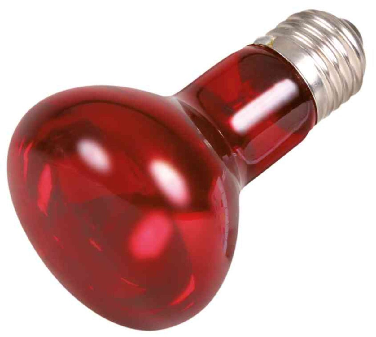Rote Glühbirne mit silberner Fassung, leicht schräg nach oben gerichtet.