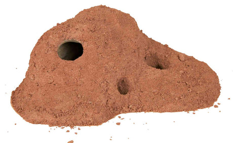 Ein brauner Sandhügel mit mehreren runden Öffnungen, darunter eine größere Öffnung links.
