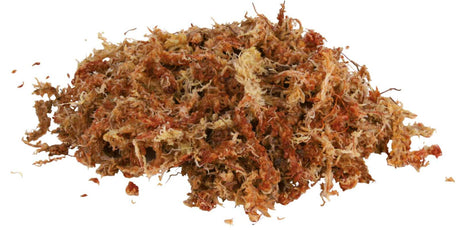 Ein Haufen braun-rotes, faseriges Material mit unregelmäßiger Textur und leichten Farbvariationen.