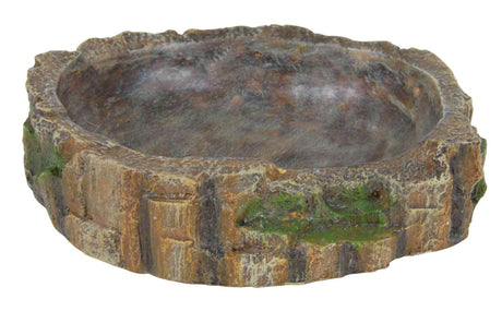 Runde, steinartige Schale mit ungleichmäßiger Textur und grünen Akzenten an der Außenseite.