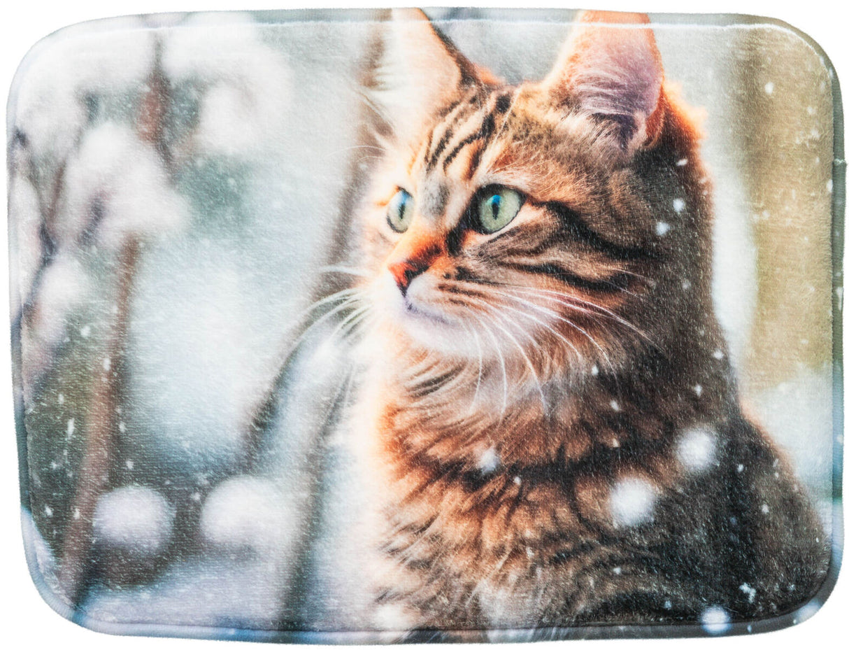 Braunes, getigertes Plüsch-Katzenmotiv mit grünen Augen, umgeben von Schneeflocken und unscharfem Hintergrund.