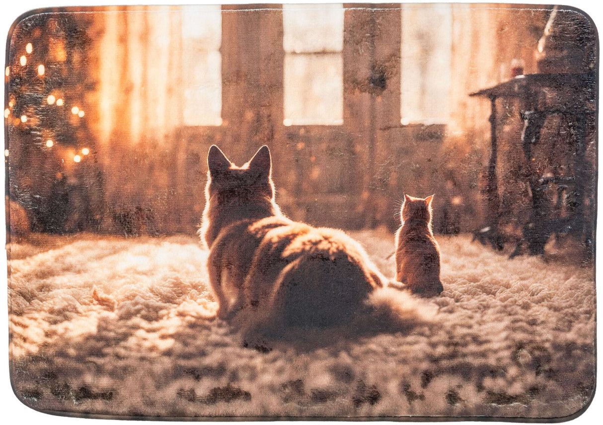 Hund und Katze sitzen auf einem flauschigen Teppich vor einem Fenster in einem warm beleuchteten Raum.