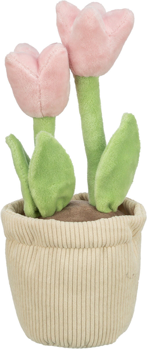 Plüschpflanze mit rosa Blüten und grünen Blättern in einem beigen Topf.