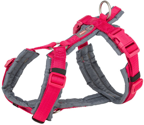 Rotes und graues Hundegeschirr mit verstellbaren Riemen und Metallring.