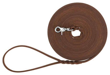 Braune, aufgerollte Leine mit Metallschnalle und Handschlaufe.