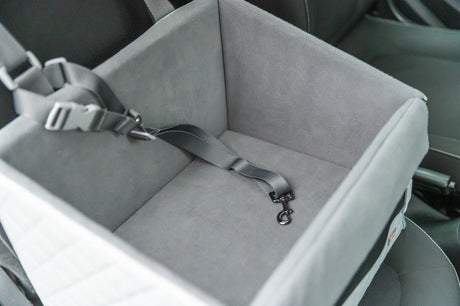 Grauer Transportsitz mit Sicherheitsgurt befindet sich in einem Fahrzeug.